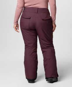 Columbia-Womens Bugaboo™ II Pants – Plus Size-2085942-columbia fleece 2