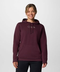 Columbia-Womens Columbia Trek™ Graphic Treatment Hoodie-2051611-columbia shoes