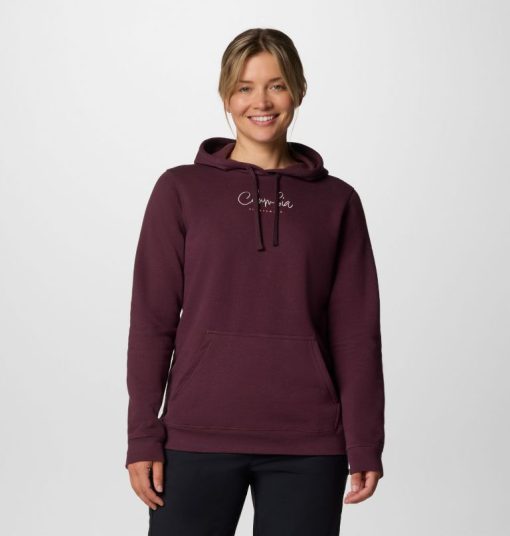 Columbia-Womens Columbia Trek™ Graphic Treatment Hoodie-2051611-columbia shoes