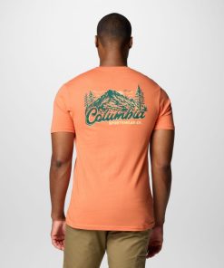 Columbia-Mens Roamin Graphic T-Shirt-HYB1877-columbia fleece