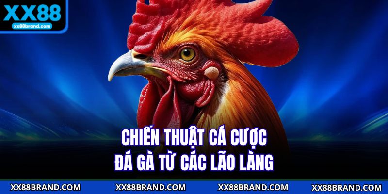 Chiến thuật cá cược đá gà từ các lão làng