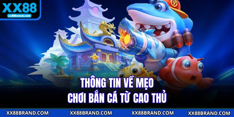 Thông tin về mẹo chơi bắn cá từ cao thủ 