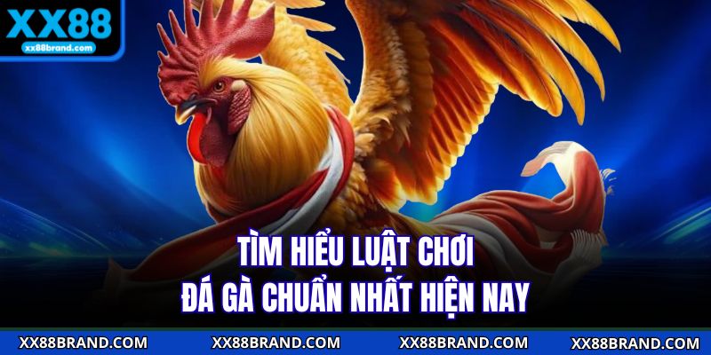 Tìm hiểu luật chơi đá gà chuẩn nhất hiện nay
